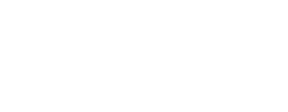 Logo Mare nostrum